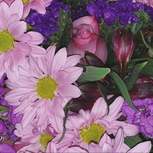 Meet your Posher, Susan